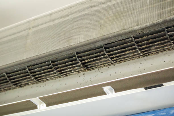Best Residential Air Duct Cleaning  in Lindale, GA
